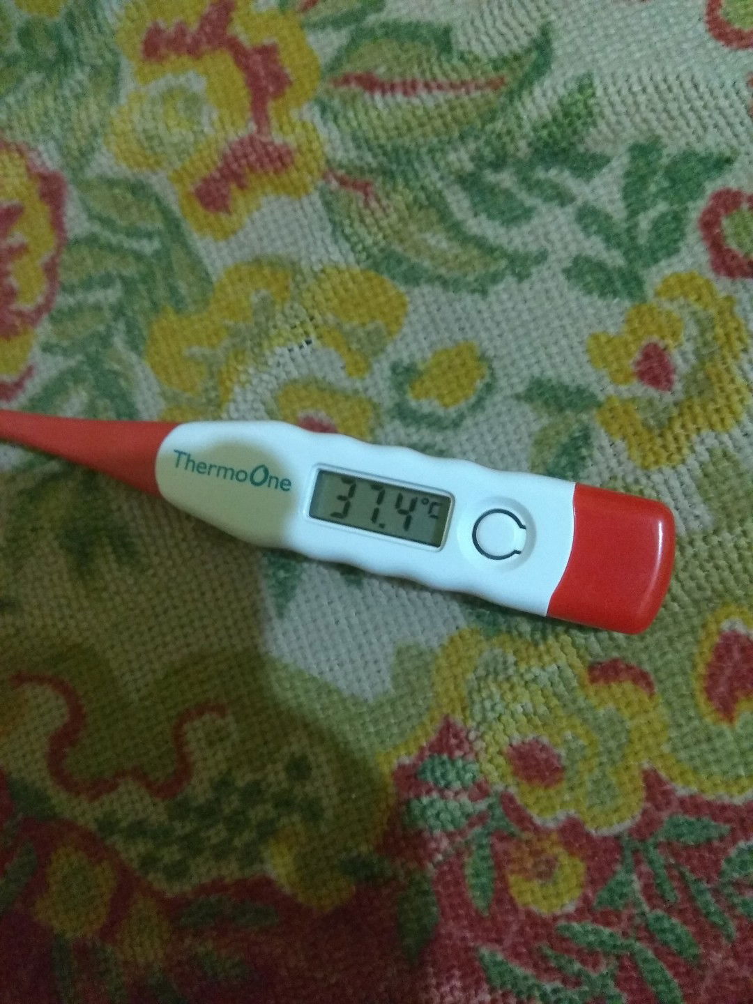 Anak demam semalaman