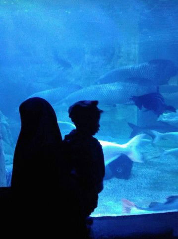 mut mutoharoh profile icon