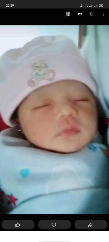 Hifdzi Tartilandika profile icon