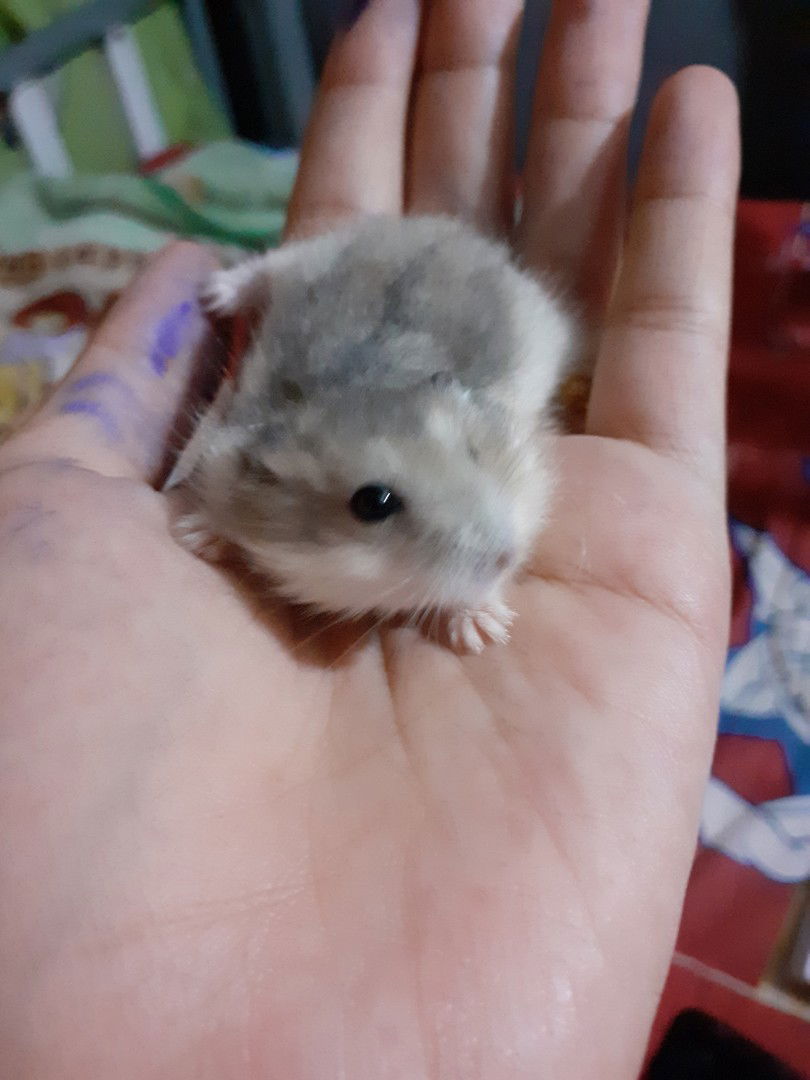 ดวงหทัย ราชคมน์ profile icon