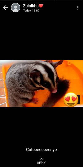 Dayang Wada profile icon