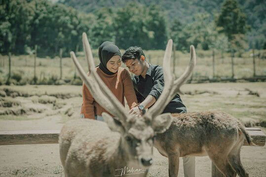 Titin Suprihatin profile icon