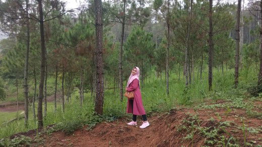 Dwi Susanti profile icon