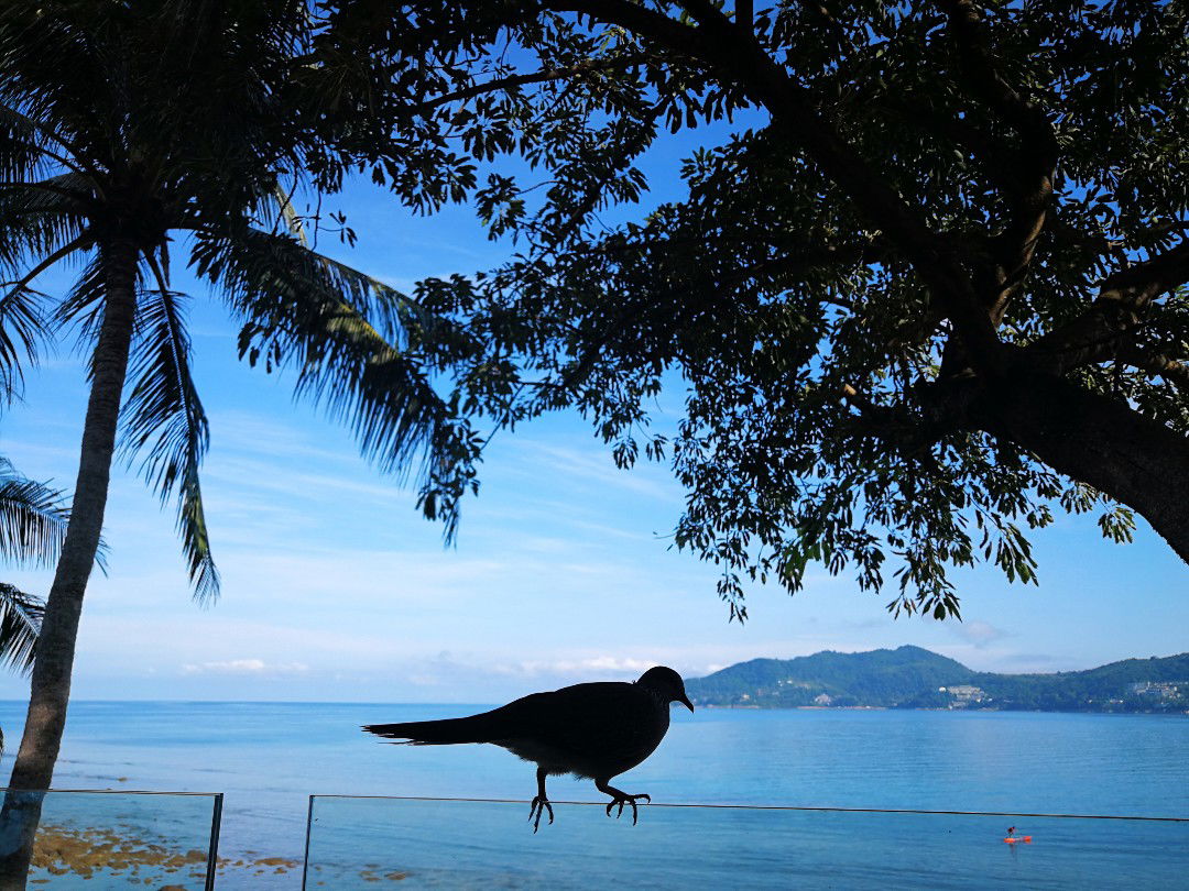 mrsweil profile icon