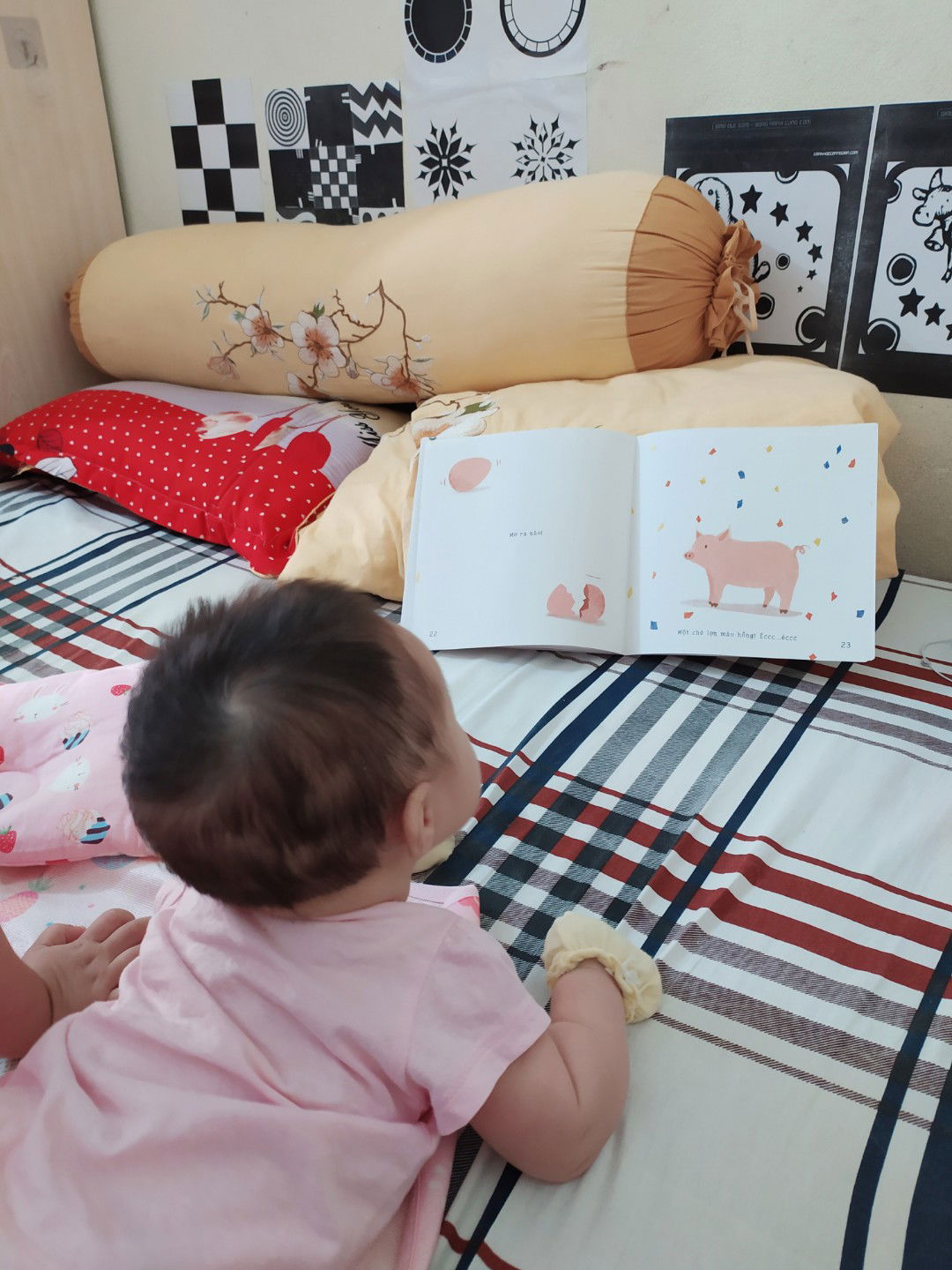 câu truyện cái cân