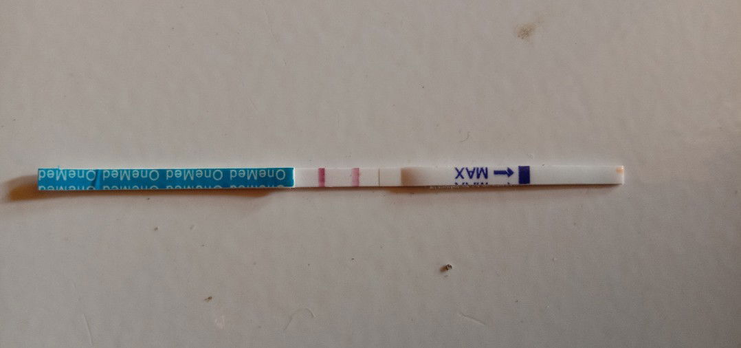 Diana Pangestuti profile icon