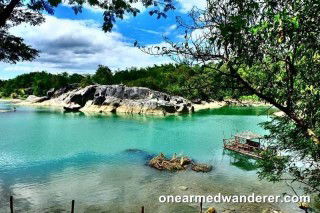 butterfly u profile icon