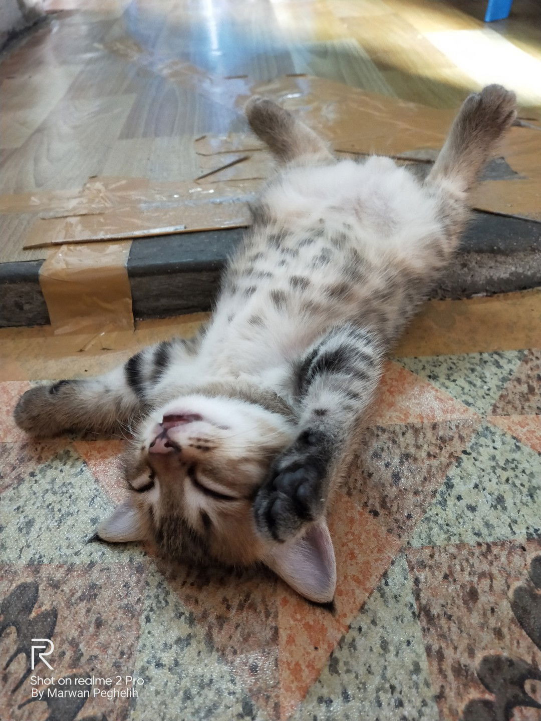 Wan Ecah profile icon