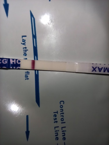 Pregnancy Test