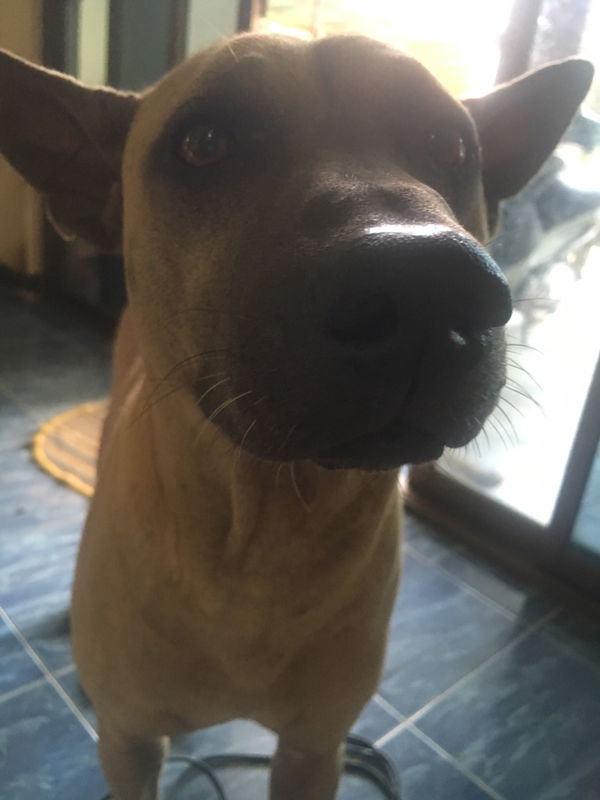 Prapasorn Pornpeng profile icon