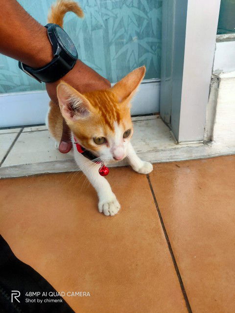 Tia Lestari profile icon