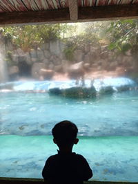 Dita RJ profile icon