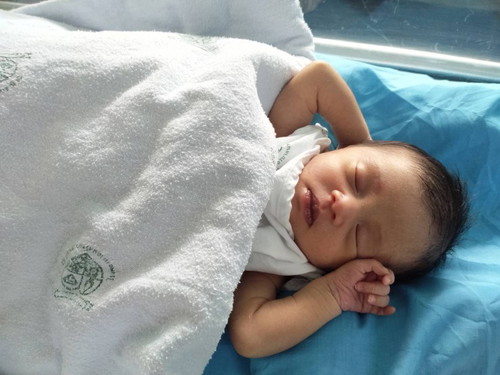 ตัวเหลือง