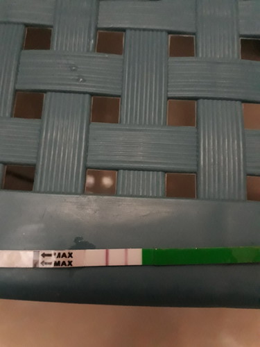 opk positive