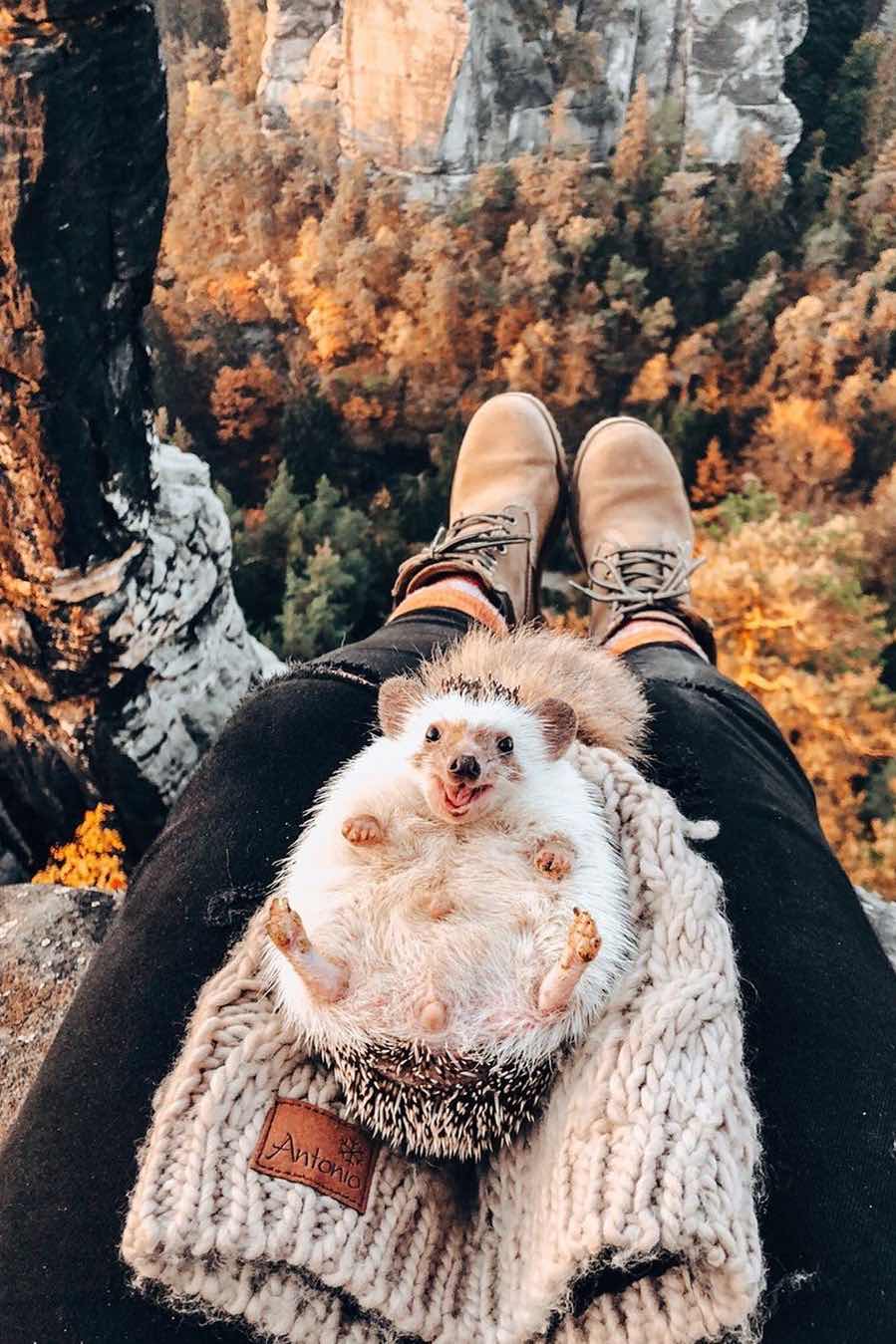 Siti Hajar profile icon