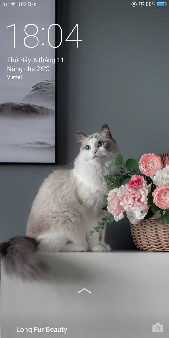 Quỳnh Anh profile icon