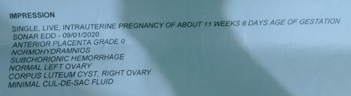 transvaginalresult