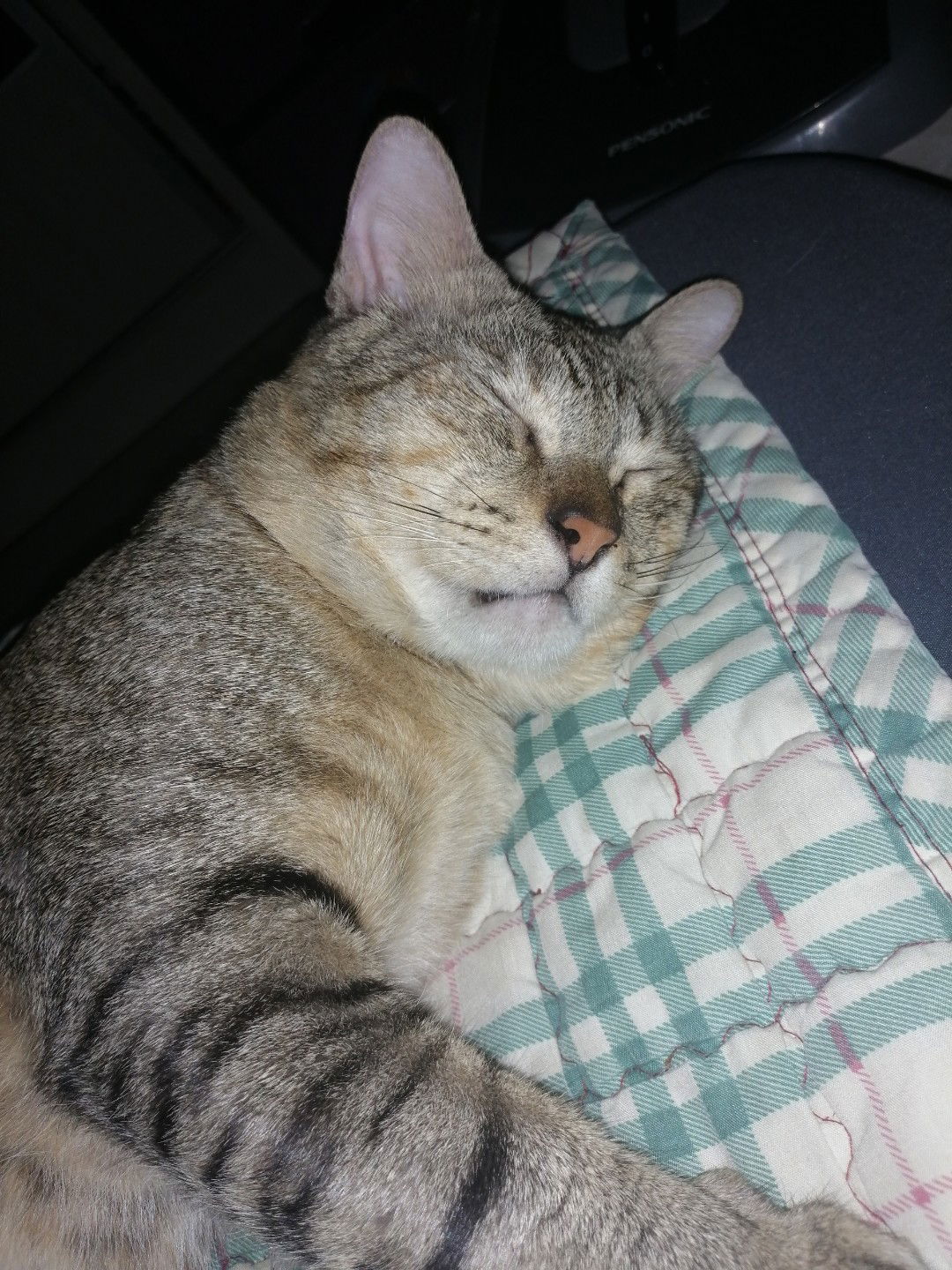 Kyra Roslan profile icon