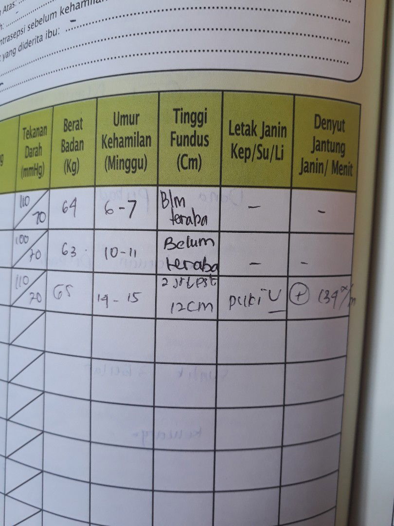 arti letak janin di buku KIA