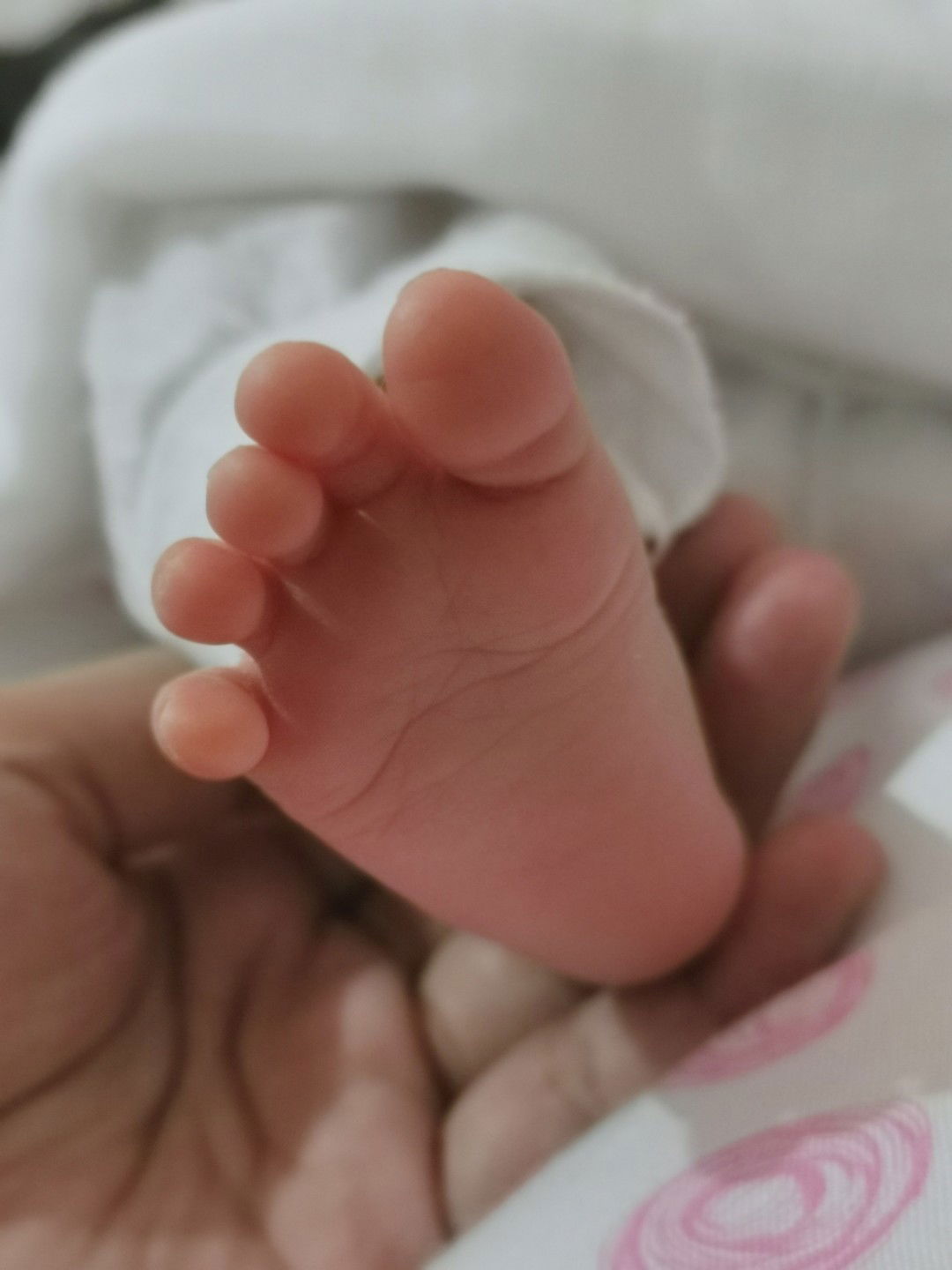 Danila Zaffie profile icon