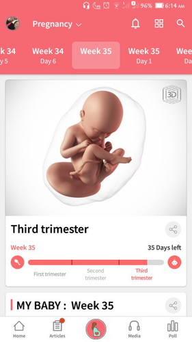 35 weeks of pregnancy ❣️