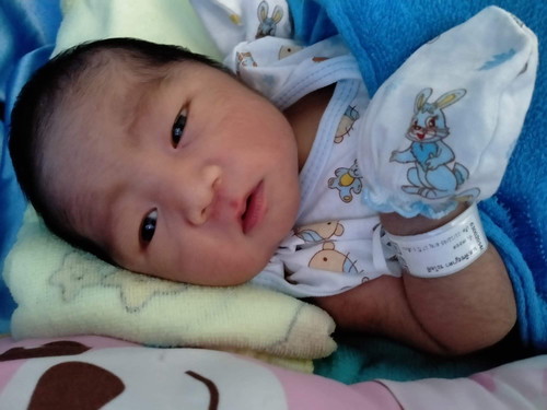 ลูกต้องเข้าตู้ส่องไฟ