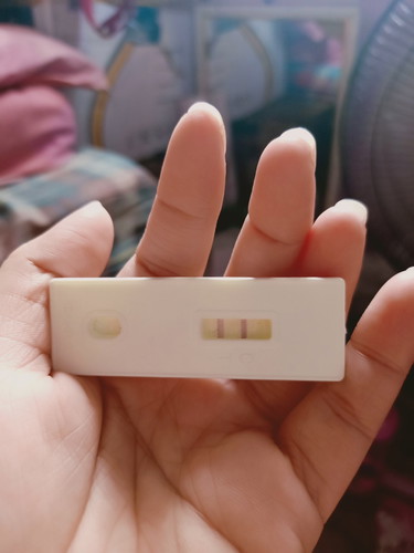 pregnancy