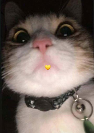 Jassynel profile icon