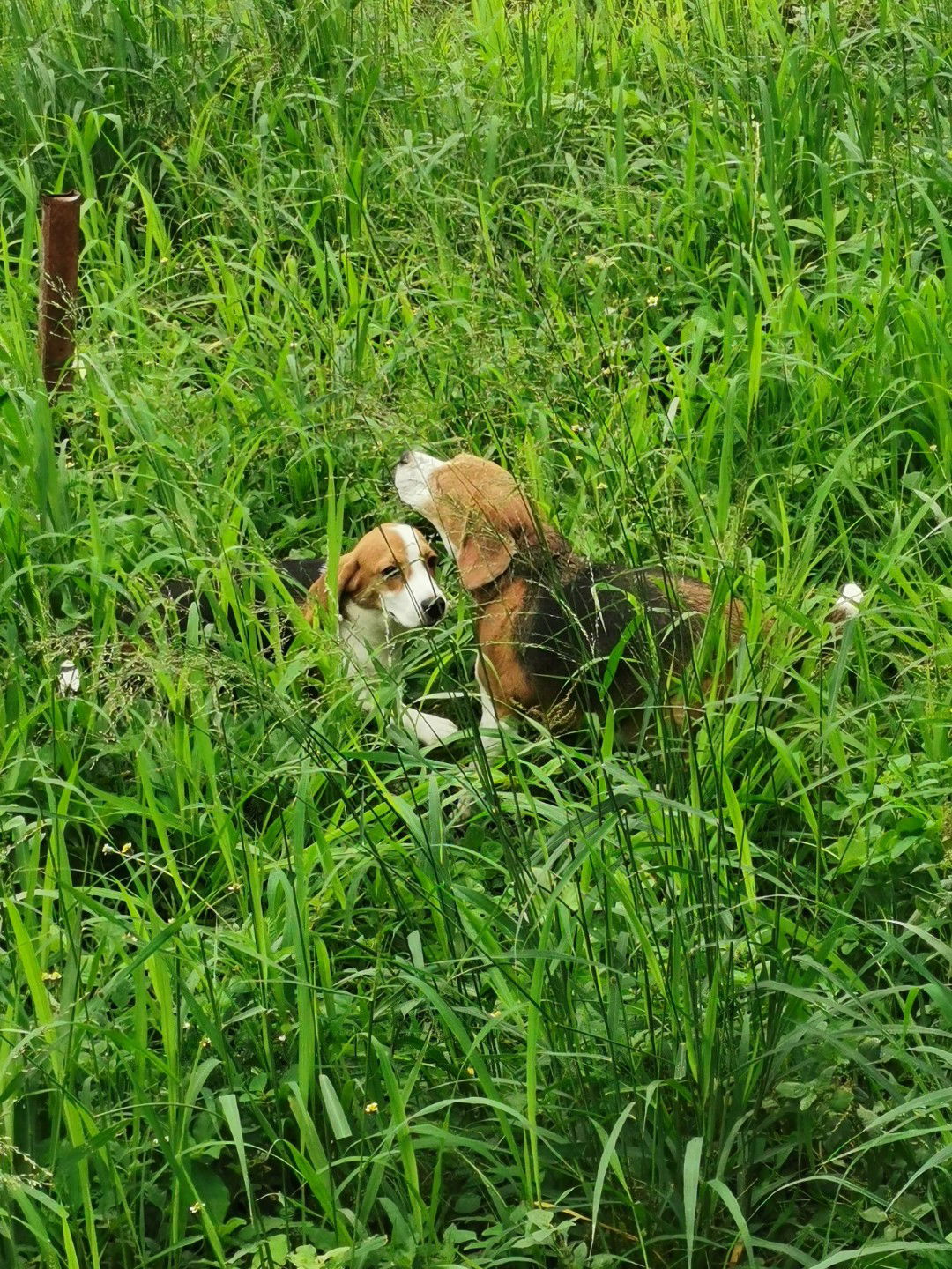 Ninjunk profile icon