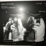 Maeghan Gayta profile icon