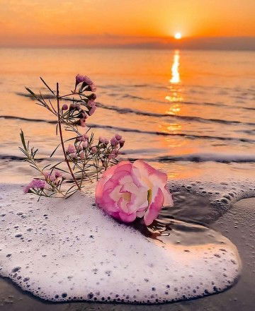 Tata (Ummu Muhammad) profile icon