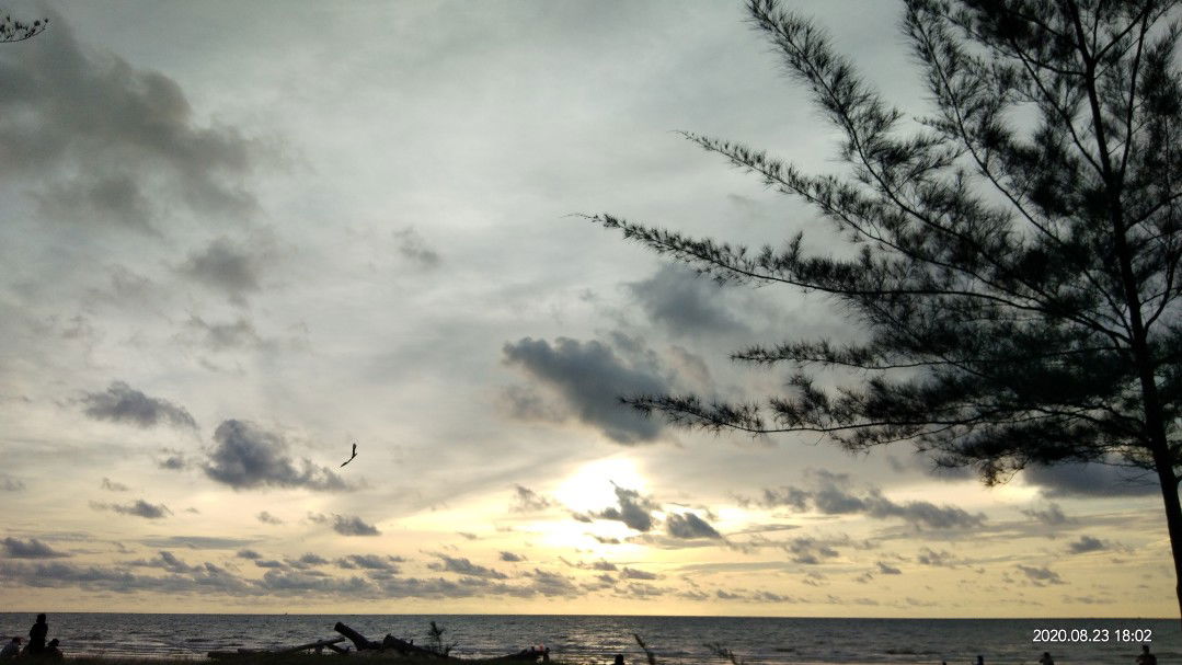 Ning Ng profile icon