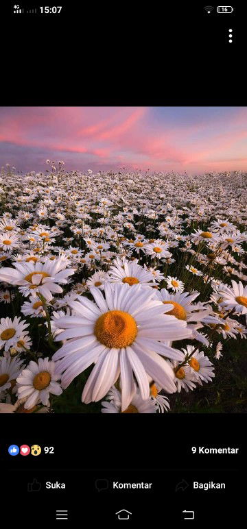 Khumairah Al Hasni profile icon