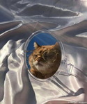 Meow profile icon