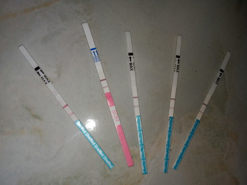 tespek terang terbalik