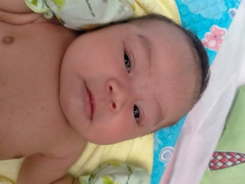 17วันแล้ววหมาพีเจ