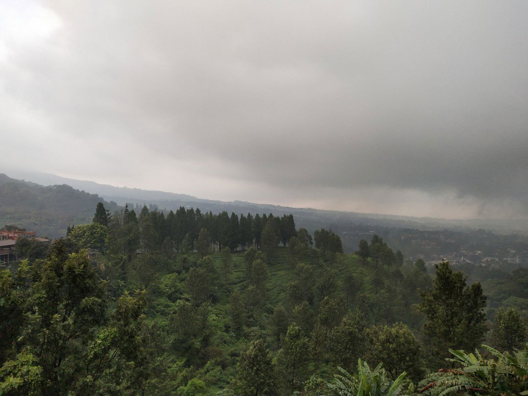 Natasya profile icon