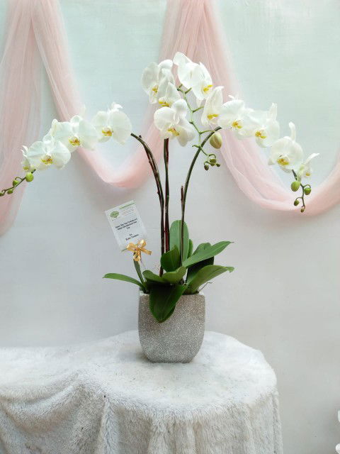 Yuningsih profile icon