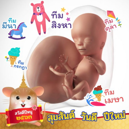 ทีมไหนกันบ้างงงงงงงง