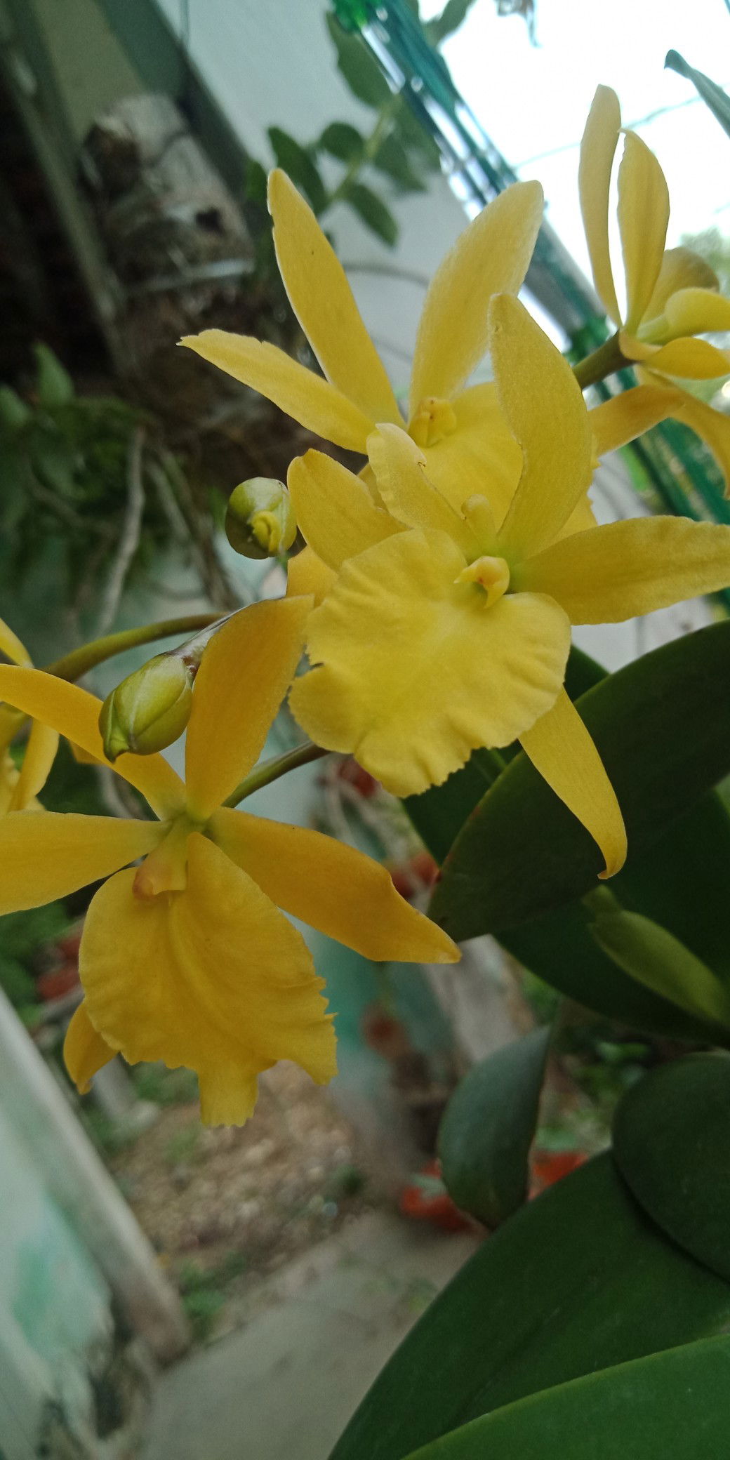 ☘️Hạnh Phúc profile icon