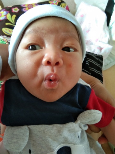 นมลูก