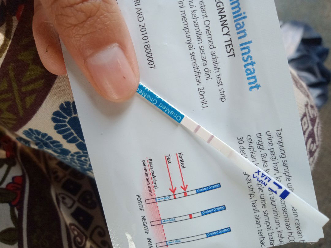 kehamilan