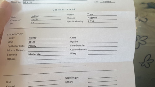 Urinalysis result