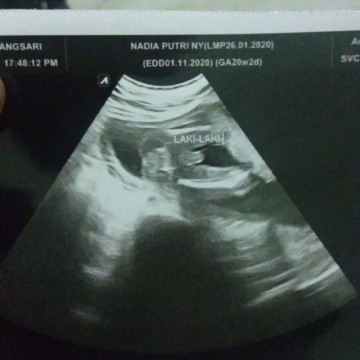 HPL 27 oktober- 2 November