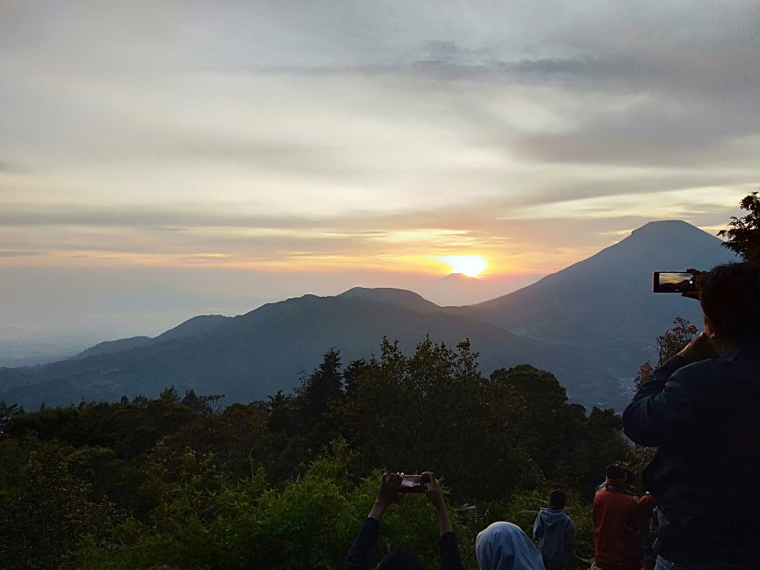 safin alkisfa profile icon