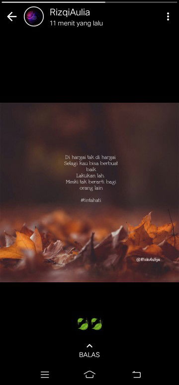 Shofia Salsabila profile icon