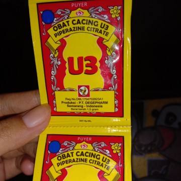 bunda2 sharing donk boleh gk bumil minum obat cacing. kehamilan saya memasuki 13 weeks 5days