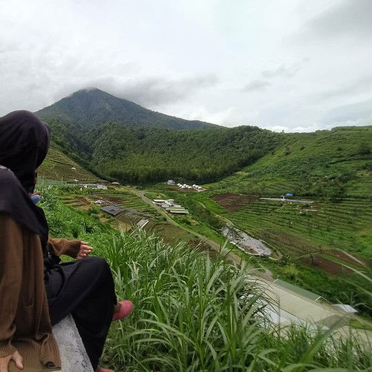 Alfi zee profile icon