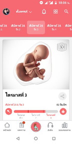 สัปดาห์28 @3วัน