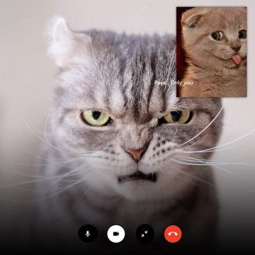 ชื่อเล่น กัญชลี profile icon